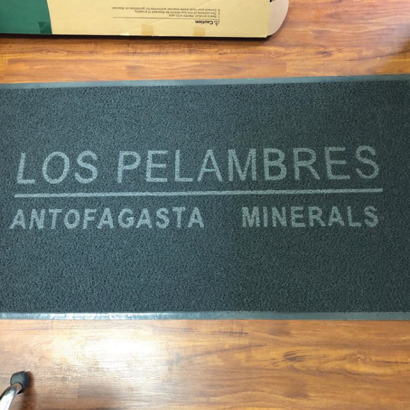 Limpia Piçs 02